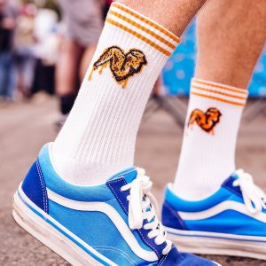 Wing Fest Socks